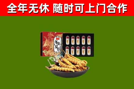 海口市回收冬虫夏草价格